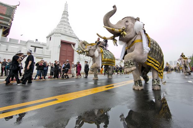 Thailand Dijuluki Negeri Gajah Putih, Begini Catatan Sejarahnya...